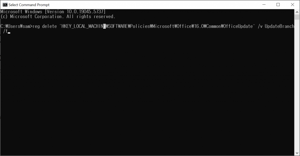 Office 更新チャネルエラー 解決方法