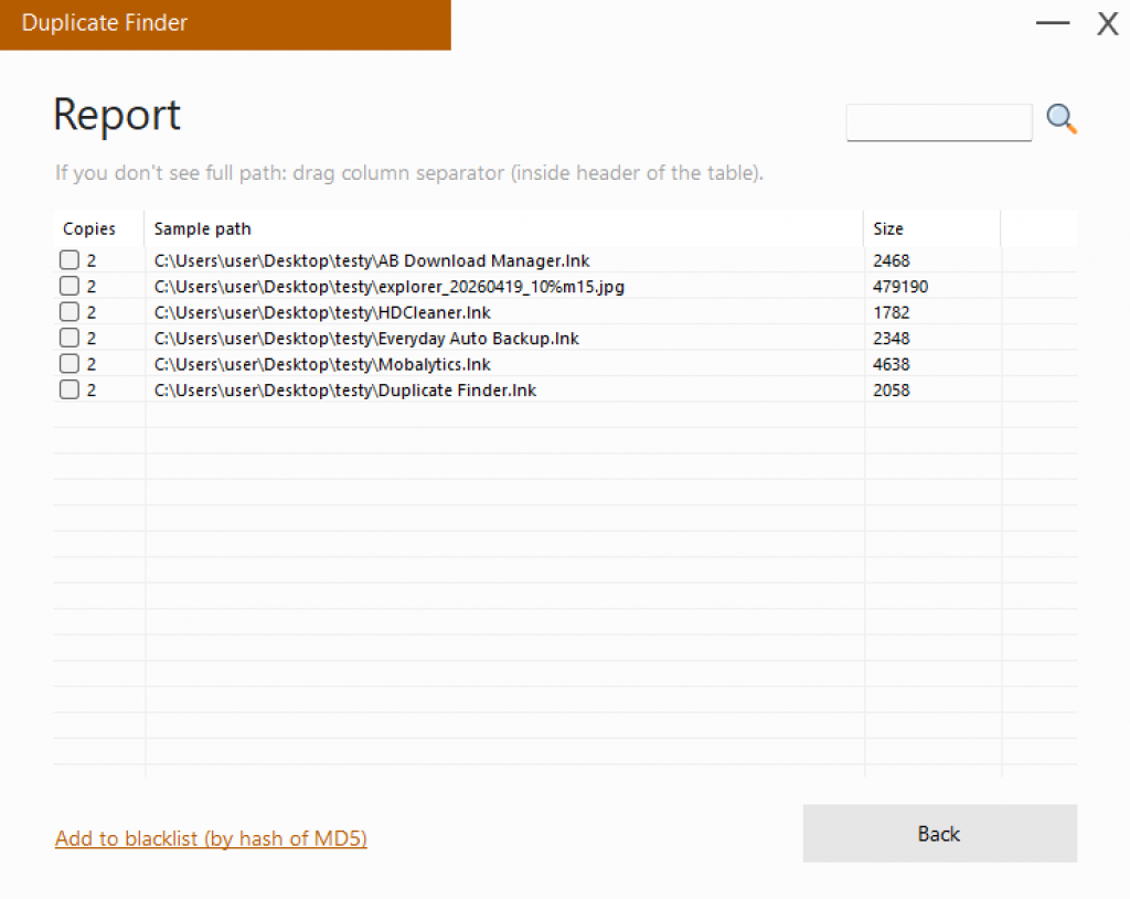 Duplicate file report