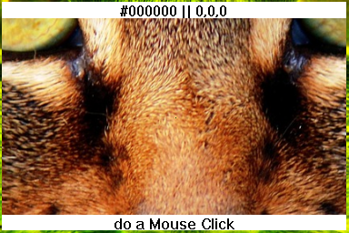 Checking Pixel Color