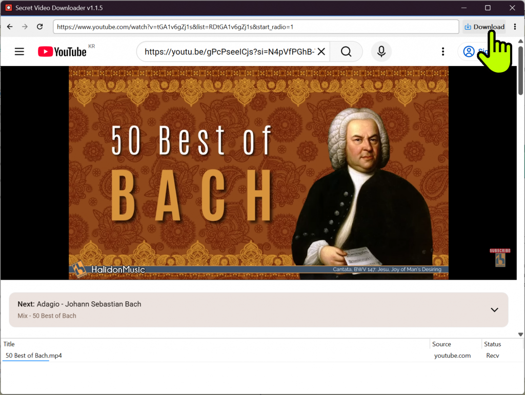 SecretVideo main interface